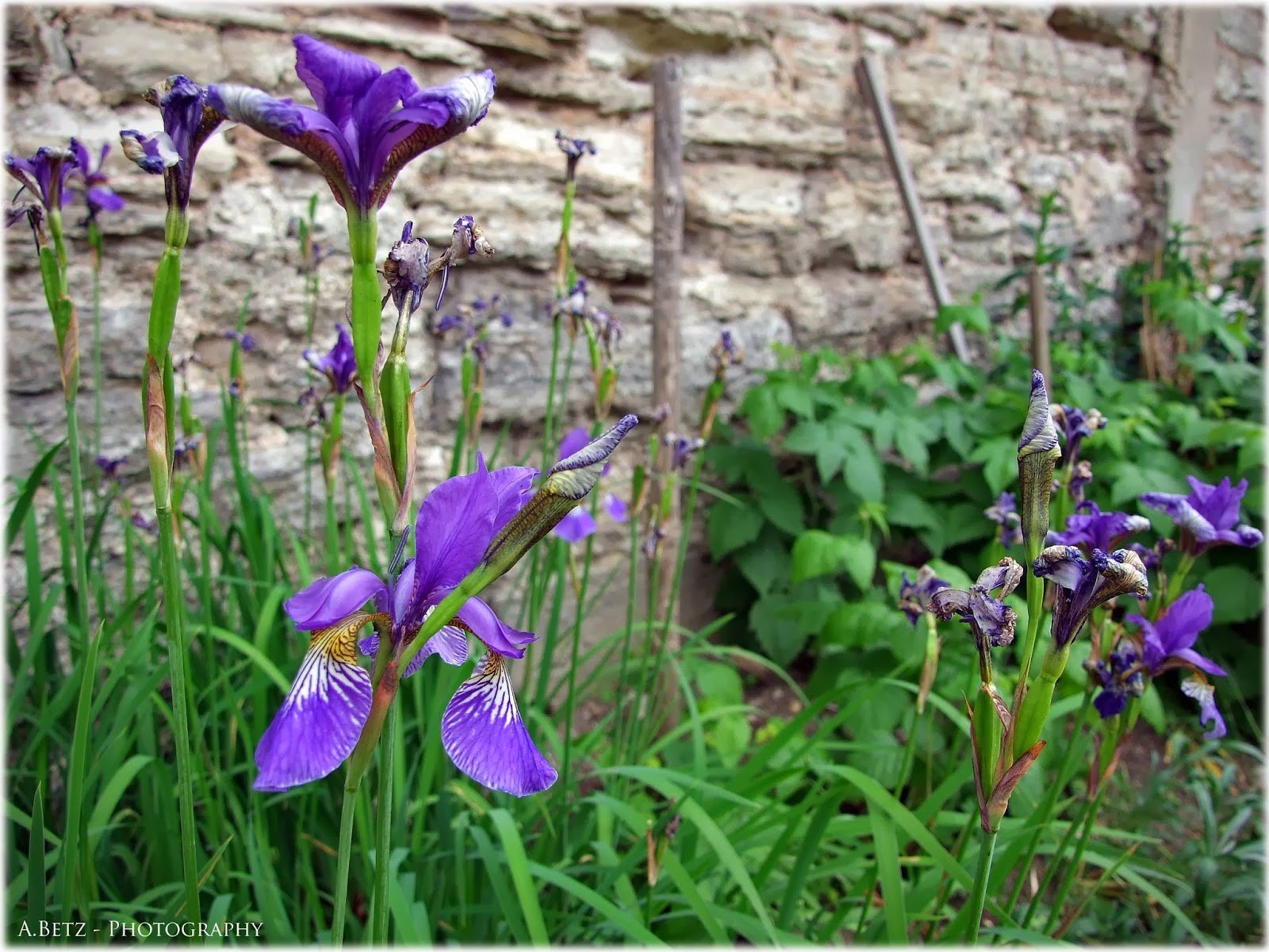 Artmapp 17 Fruhjahr 2018 By Artmapp Gmbh Issuu