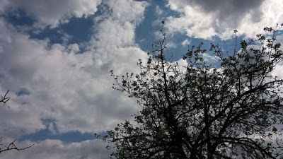 Αποτέλεσμα εικόνας για agrinio like συννεφιά