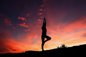 silhouette yoga yoga silhouette body health female fitness exercise woman thumbnail result