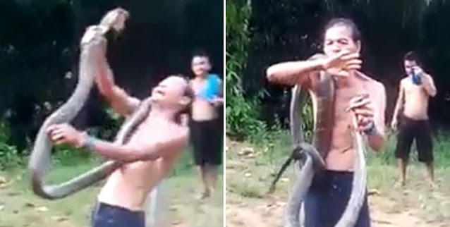 Il cobra lo morde fatalmente mentre l'indonesiano si esibiva