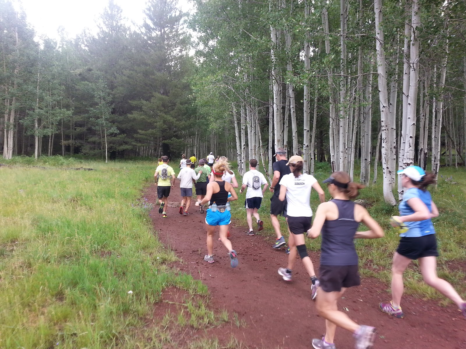 Flagstaff Trail Running Arizona Trail all the Way to Bismarck Lake