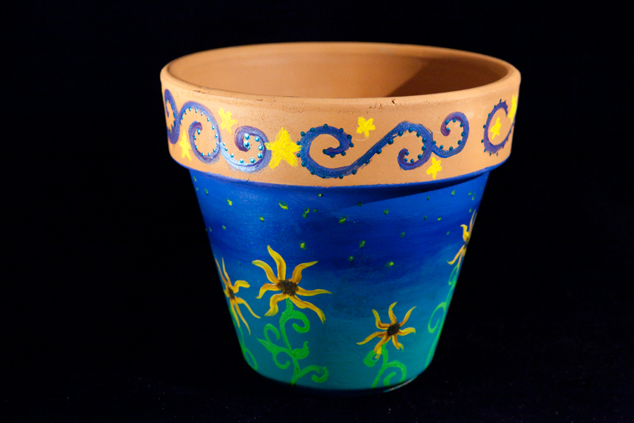Lauren Petrovic Photography HandPainted Terracotta Pots FOR SALE!!!