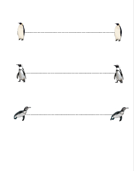 Комплексная работа пингвины ответы