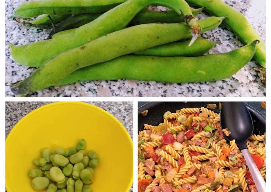 Tracing Rainbows Broad Beans Are Sleeping In Their Blankety Bed!