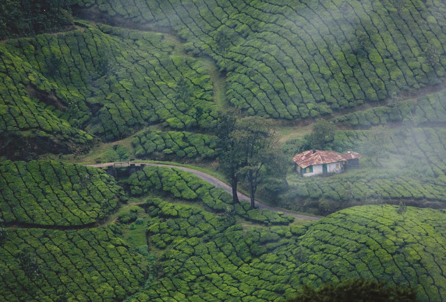 Top Five Reasons to Visit Kerala India