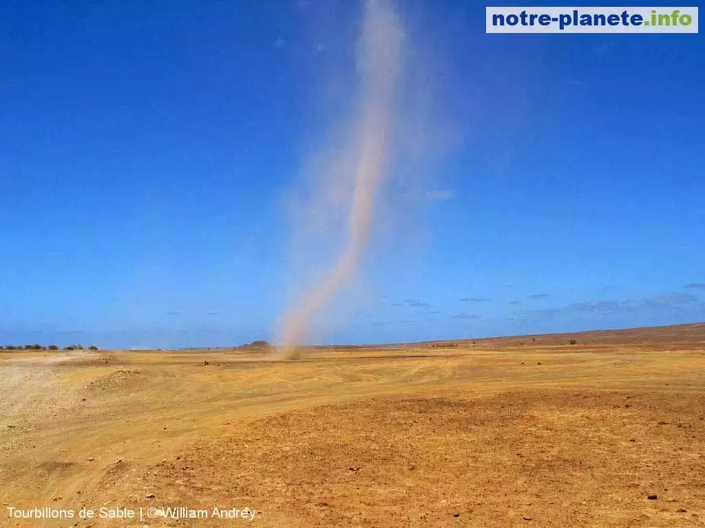 T.P.E 1ere S : Tornades: REPARTITION DES TORNADES DANS LE MONDE