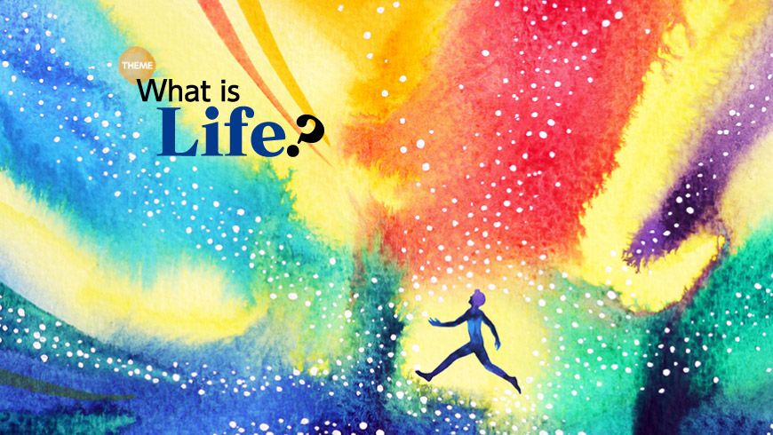 Online essay writing competition 2021 picture