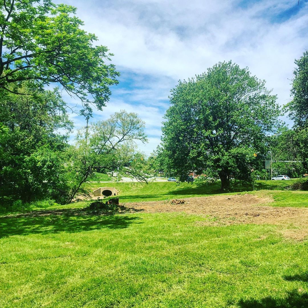 Brookland Terrace Civic Club Trees Down Centerville & Faulkland Road
