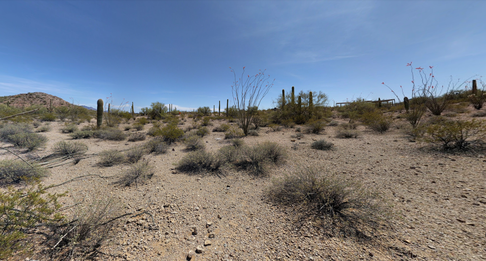 Arizona Pictures