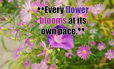 Blooming Flower Quotes