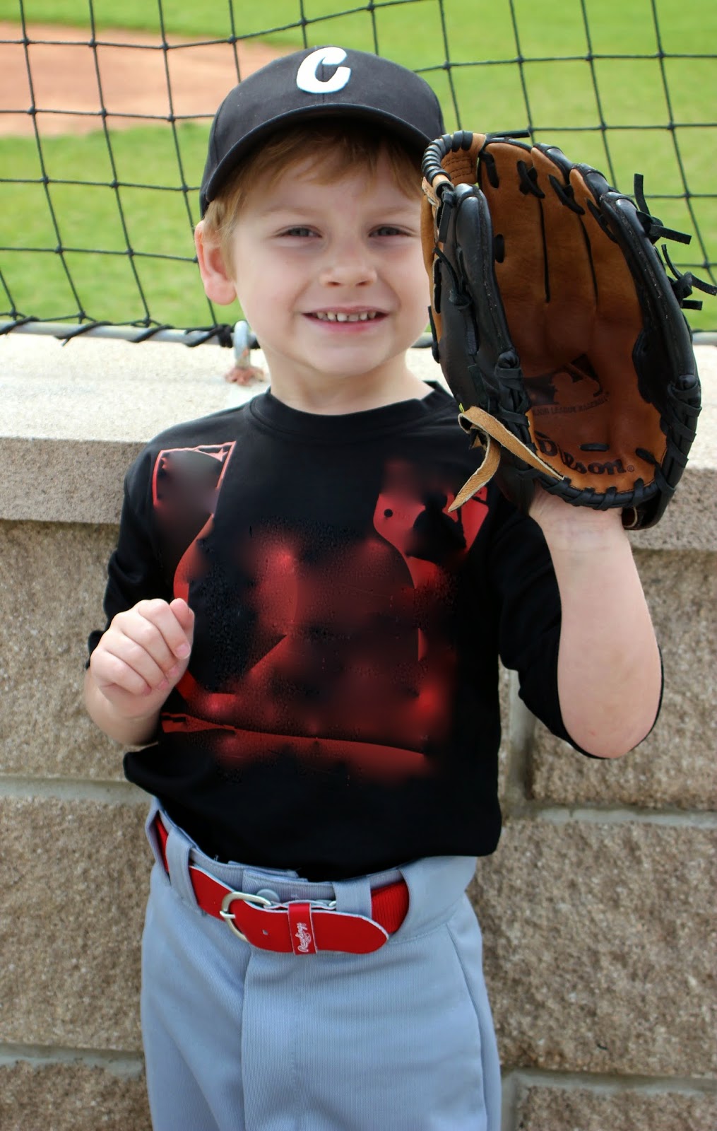 World of the Wilsons Eli's First Season of Tee Ball