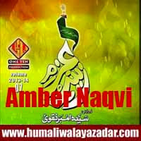 http://ishqehaider.blogspot.com/2013/11/syeda-amber-naqvi-nohay-2014.html