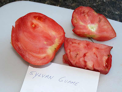 The Sylvan Guames were not only huge but they were also very meaty and had very few seeds.