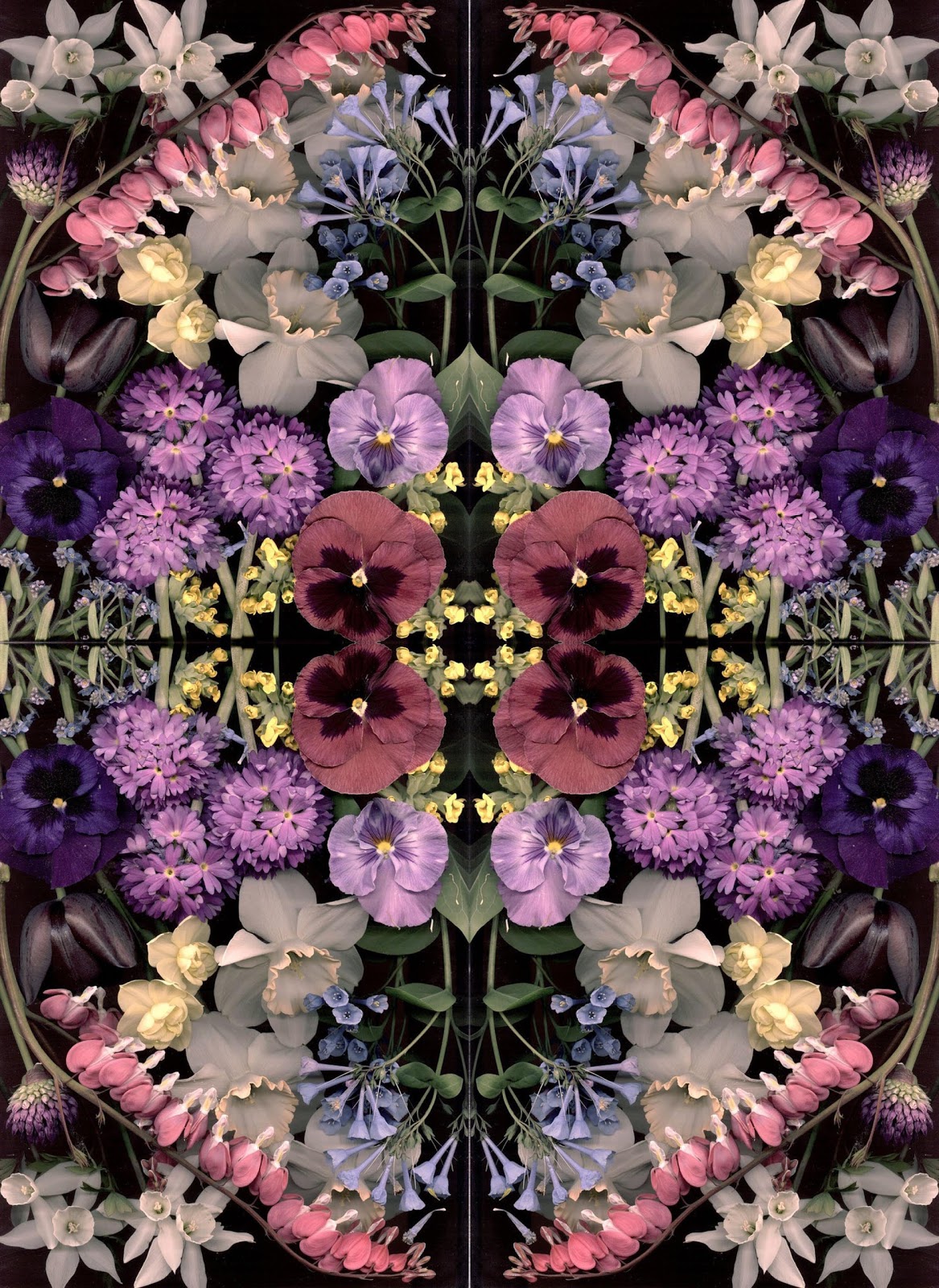 Hunter Harmony: scanned blooms mirrored