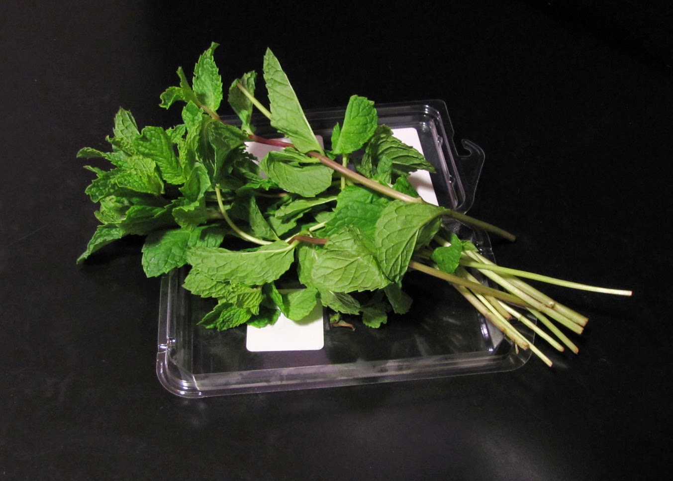 Smells Like Food in Here Trader Joe's Organic Mint