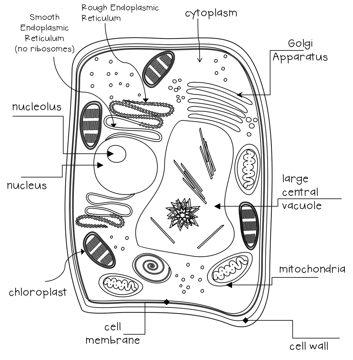 Learning, Lessons, and Life: September 2013