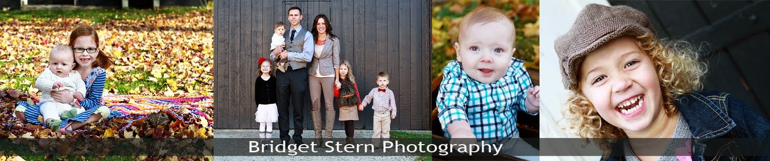 Bridget Stern Photography - Newborn Infant Child Family & Senior Photographer Chicago IL