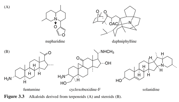 Alkaloids derived from L-phenylalanine, L-tyrosine (A), and L-tryptophan (B).