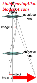 Kính hiển vi quang học phức hợp