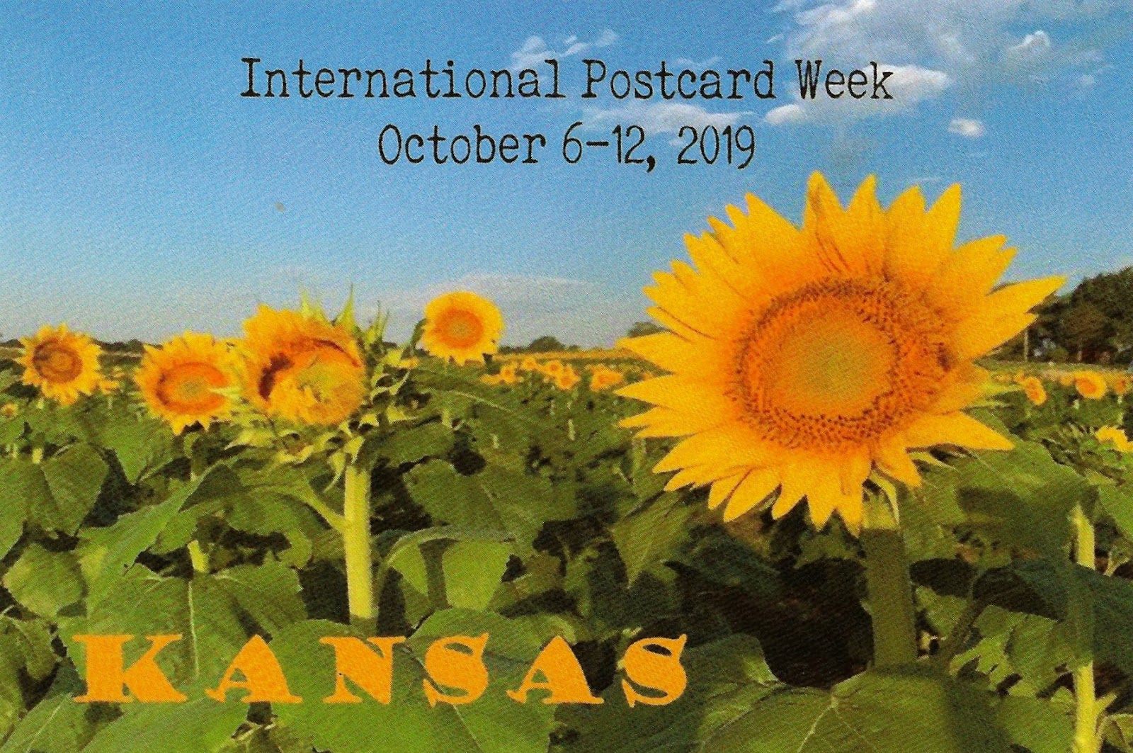 International Postcard Week 2019