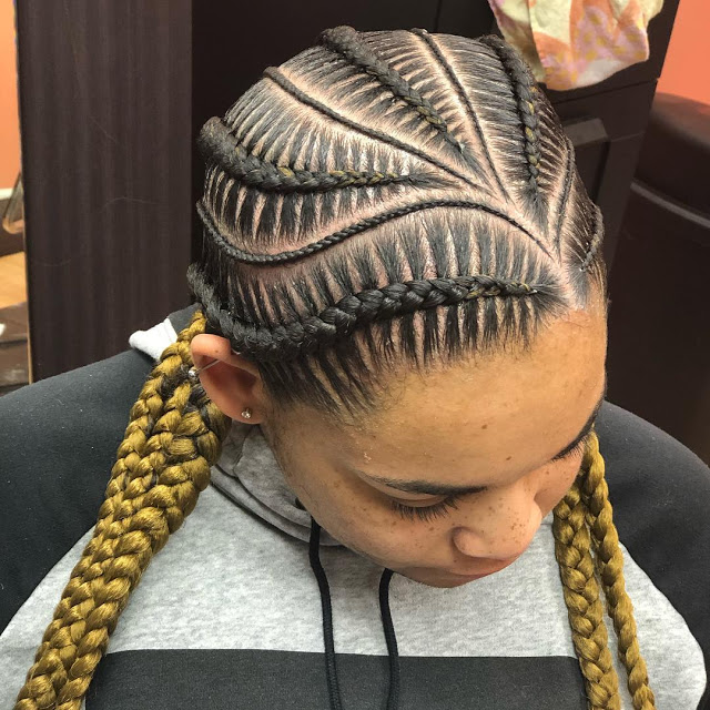 15 Black Braids Hairstyles 2019 Pictures: for Beautiful Ladies