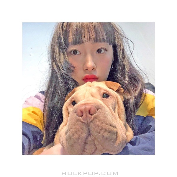 DAB19 – W – 단로송 (feat. 김로사) – Single