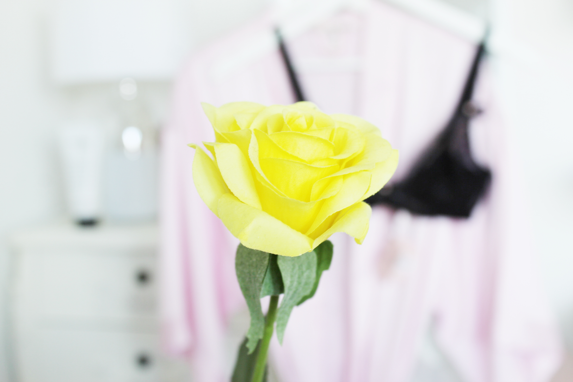 How to surprise someone by Rather Rude Cards Yellow rose meaning
