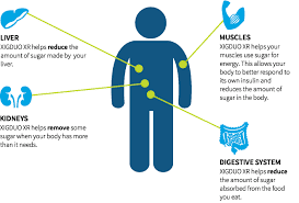 during pregnancy how to control sugar level high ~ Best Diabetes Management