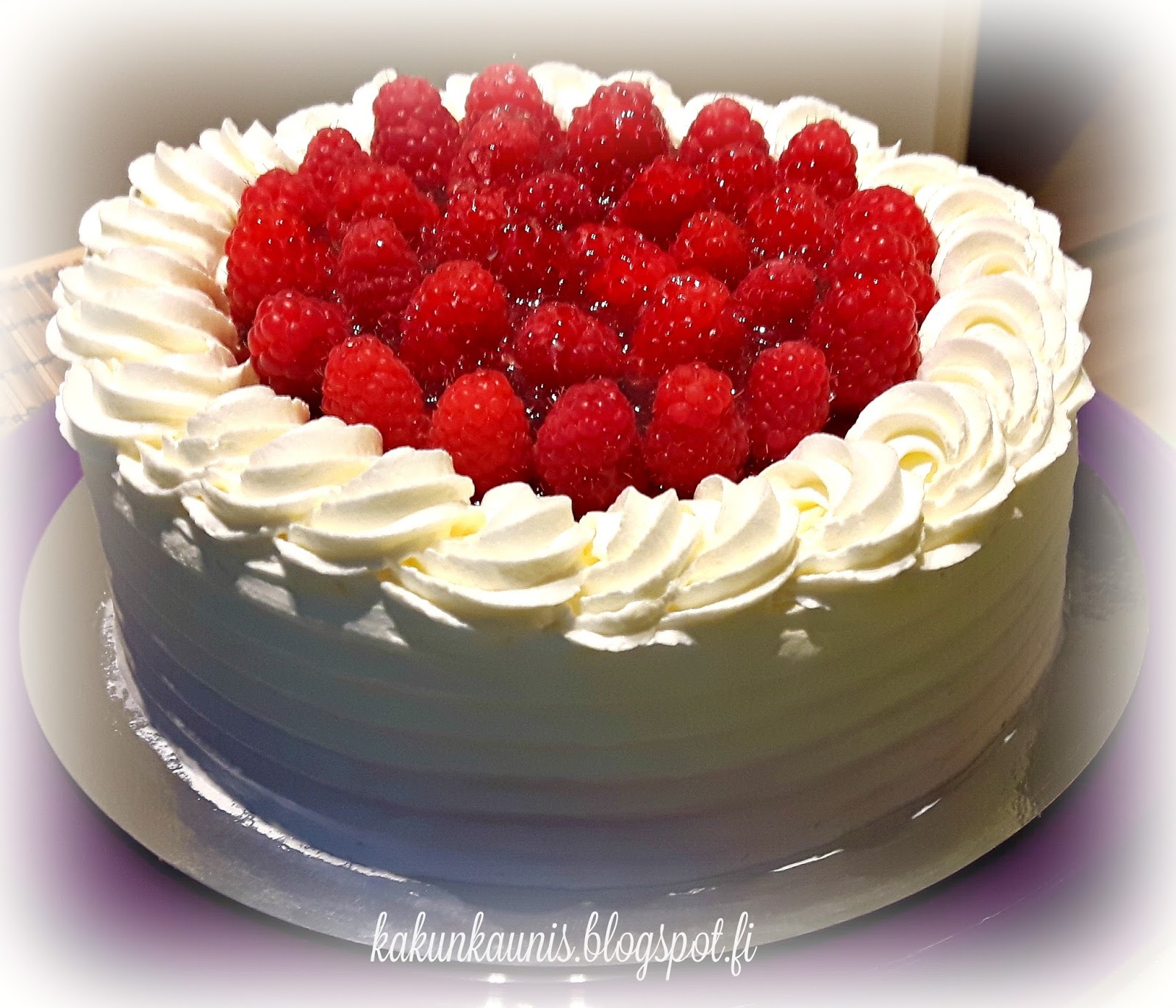 Even kakkugalleria Vadelmakermakakku