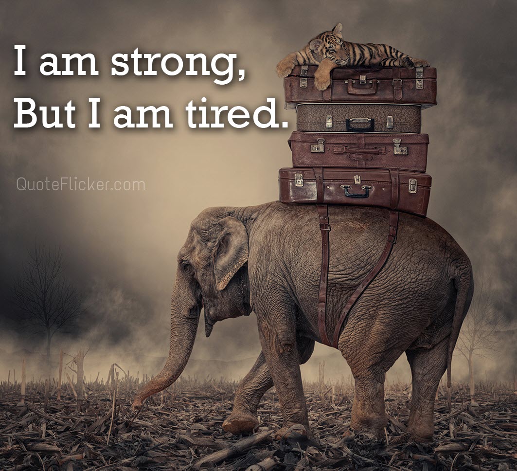 I Am Stronger Quotes I Am Strong | Quotes Collection