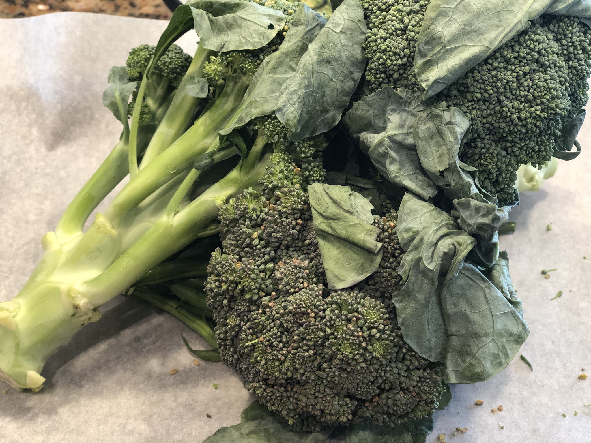 Cooking with Chez Cindy ChezCindy Grilled Broccoli with Soy Balsamic