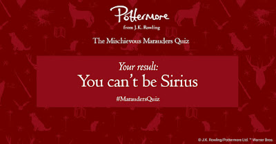 0-23%: Non puoi essere Sirius (You can't be Sirius)