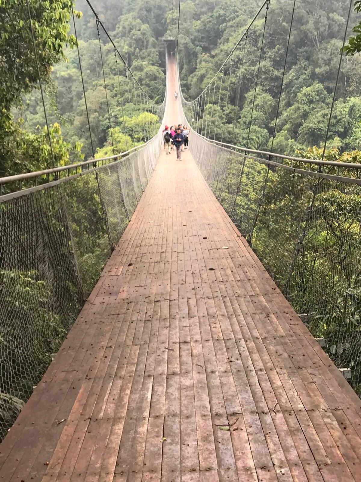 Meciko66 Memacu Adrenalin Di Suspension Bridge Situ Gunung Gede