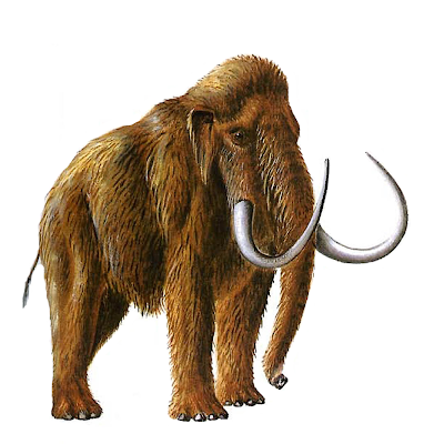 Weighty Matters: Saturday Stories: History, Mammoths, and the Most ...