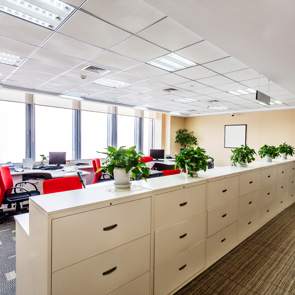 Vivid Cleaning Blog The land down under why cleaning under furniture