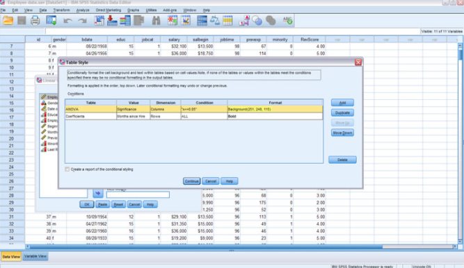 Statistics software for all your business needs