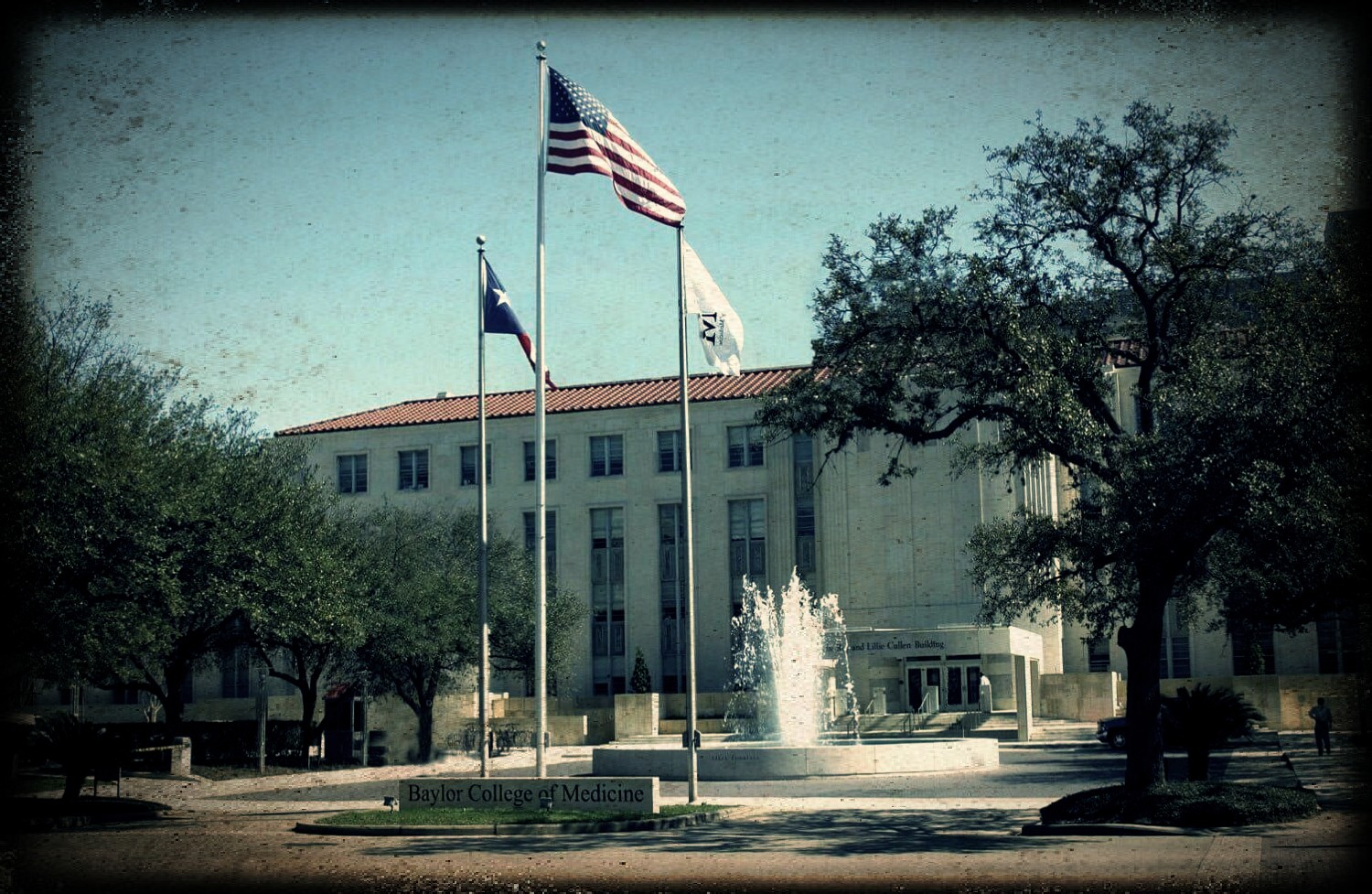 How To Get Into Baylor College Of Medicine How To Get Into Baylor College Of Medicine