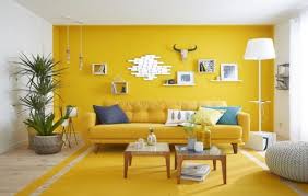 warna cat rumah Kuning dan Putih