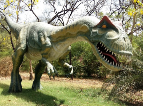 Balasinor Dinosaur Fossil Park in Ahmedabad