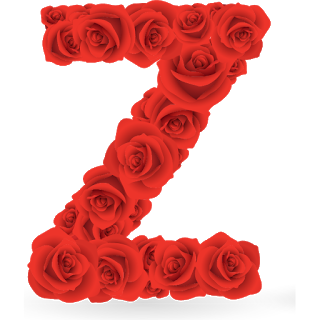 Abecedario de Rosas Rojas. Red Roses Alphabet.