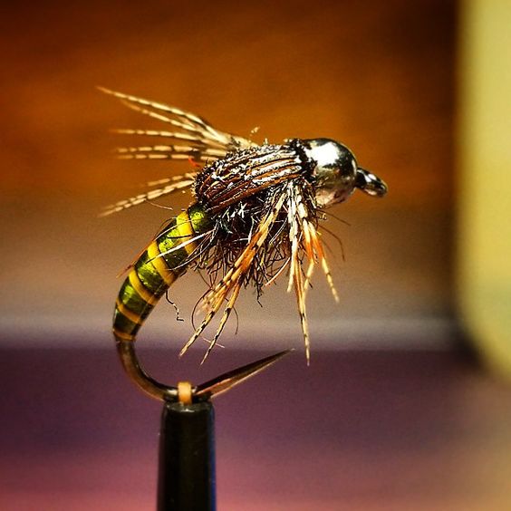 Sports FishingFishing SkillsSishing News Types of fly fishing flies