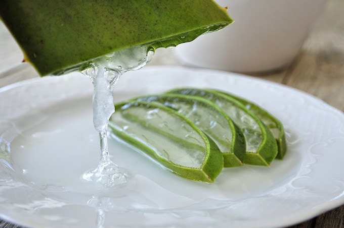 Health Benefits of Aloe Vera (My Experience with it) Grow your own Aloe Vera