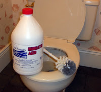 muriatic acid toilet cure
