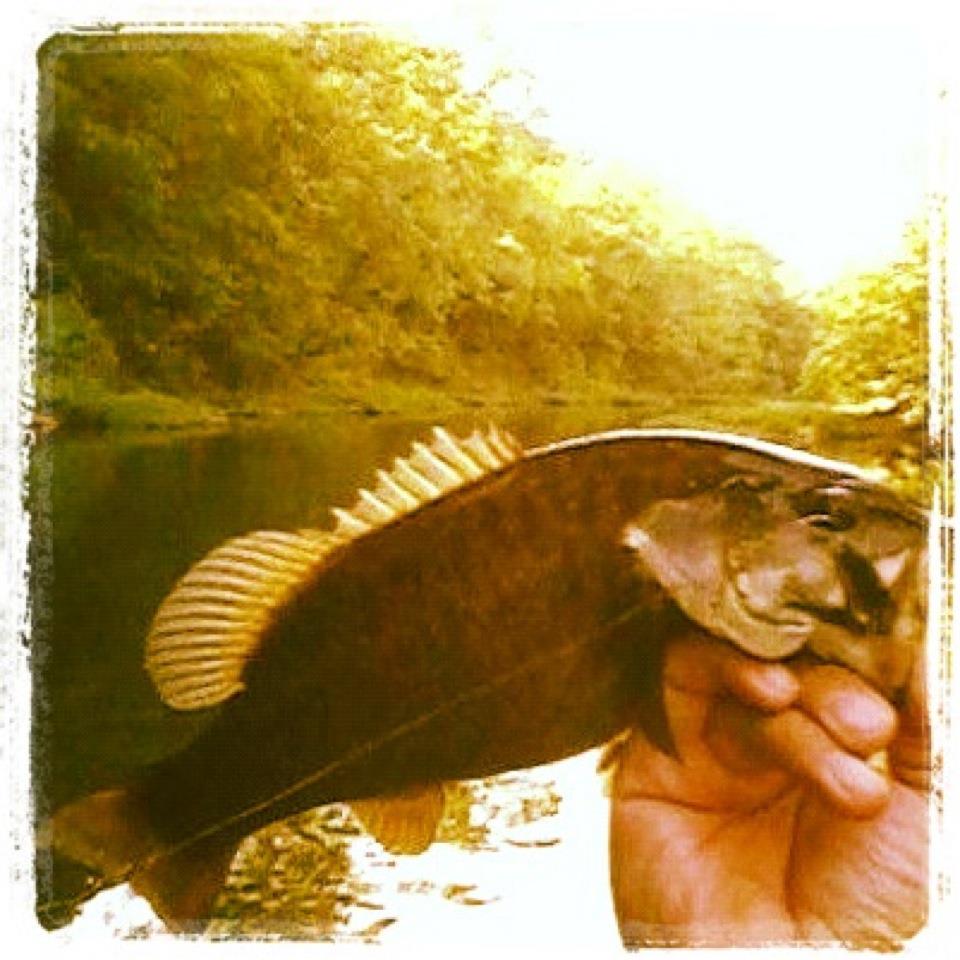 BUGGIN' OUT. Drifting for Smallmouth No Clousers today. Gotta have