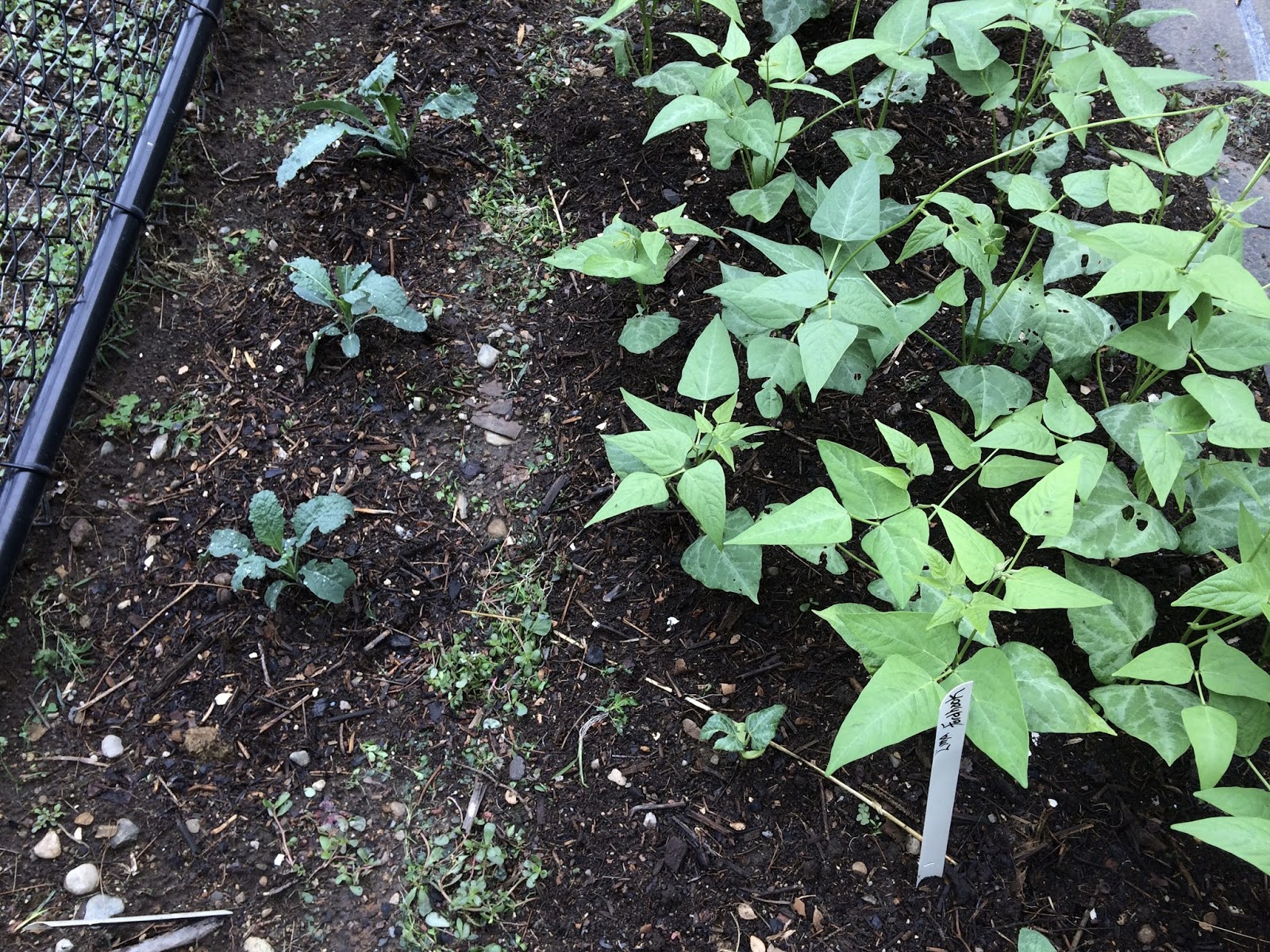 Gardening With Friends Compost The Gardener’s Gold