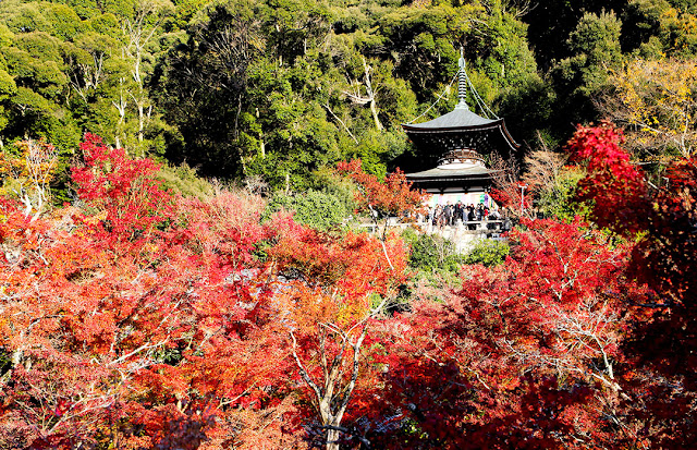 19 紅葉の京都 二 毘沙門堂と永観堂紅葉見頃