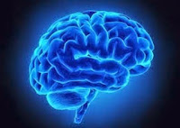 Test Your Memory for Dementia in 15 Minutes (SAGE)