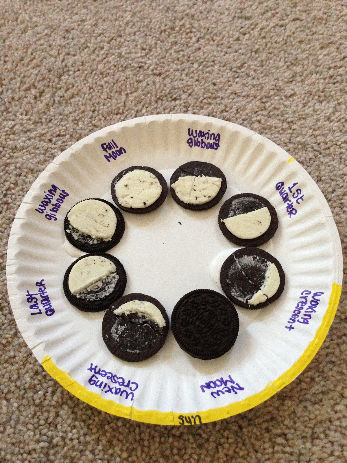 Elementary Interdisciplinary Lessons!: Oreo Moon Phases