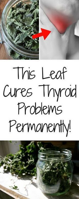 This Leaf Cures Thyroid Problems Permanently!