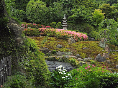 Satsuki (Rhododendron indicum) flowers: Kaizo-ji